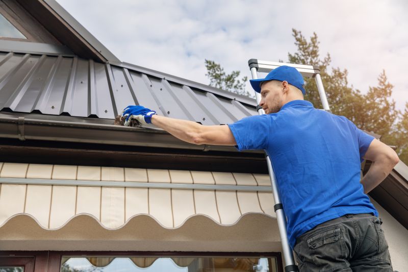 Gutter Maintenance in Smyrna