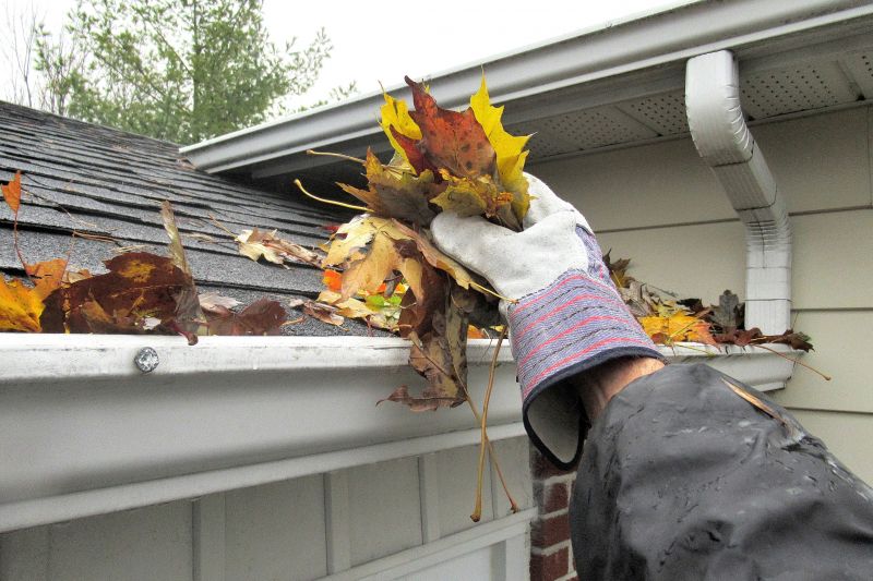 Inspecting Gutters