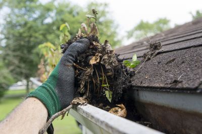 Gutter Maintenance in Smyrna